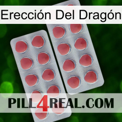 Erección Del Dragón 19